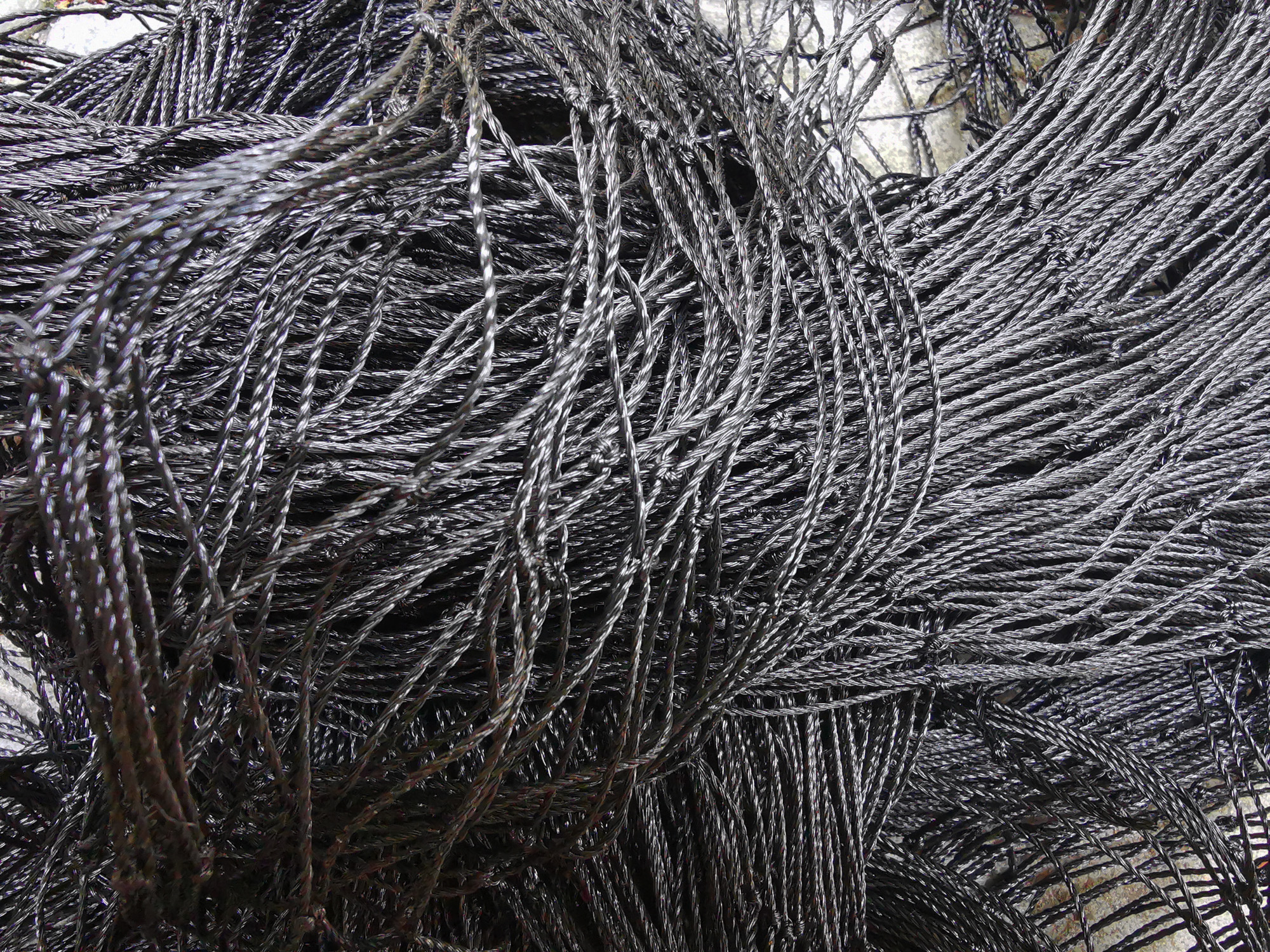 Heavy Duty Black Anti Bird Net - đánh giá và giá Kids Outdoor Net