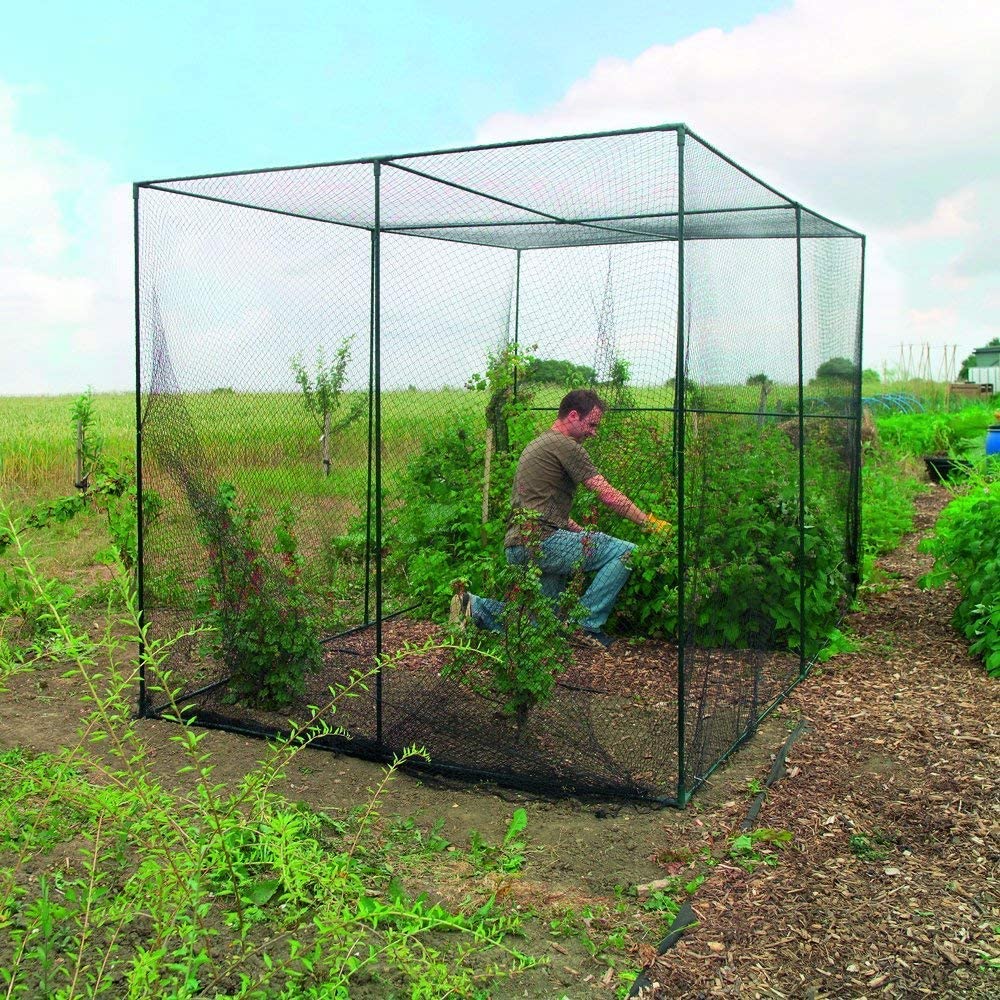 Heavy Duty Black Anti Bird Net - đánh giá và giá Kids Outdoor Net