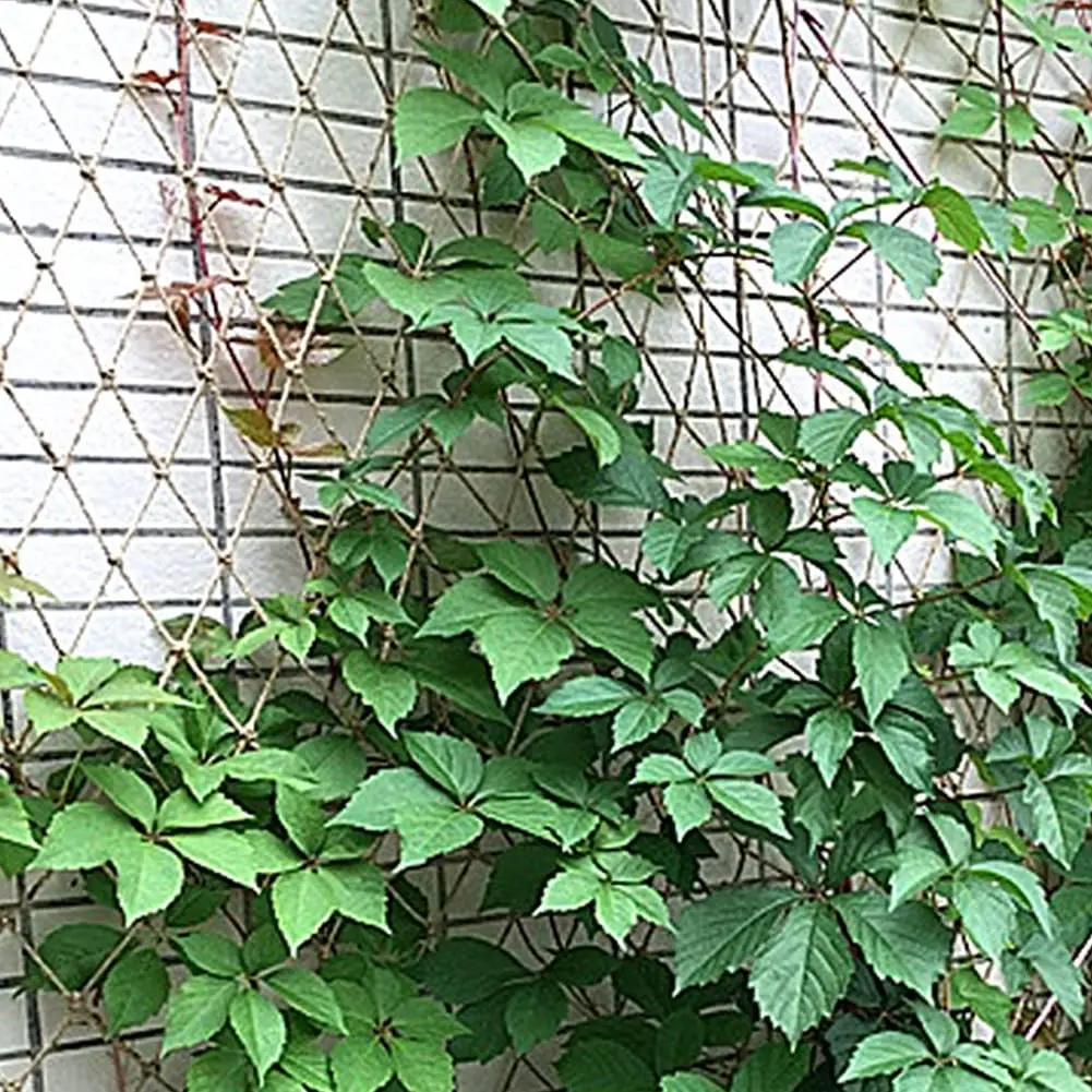 Plant Support Netting Natural  - đánh giá và giá Kids Outdoor Net