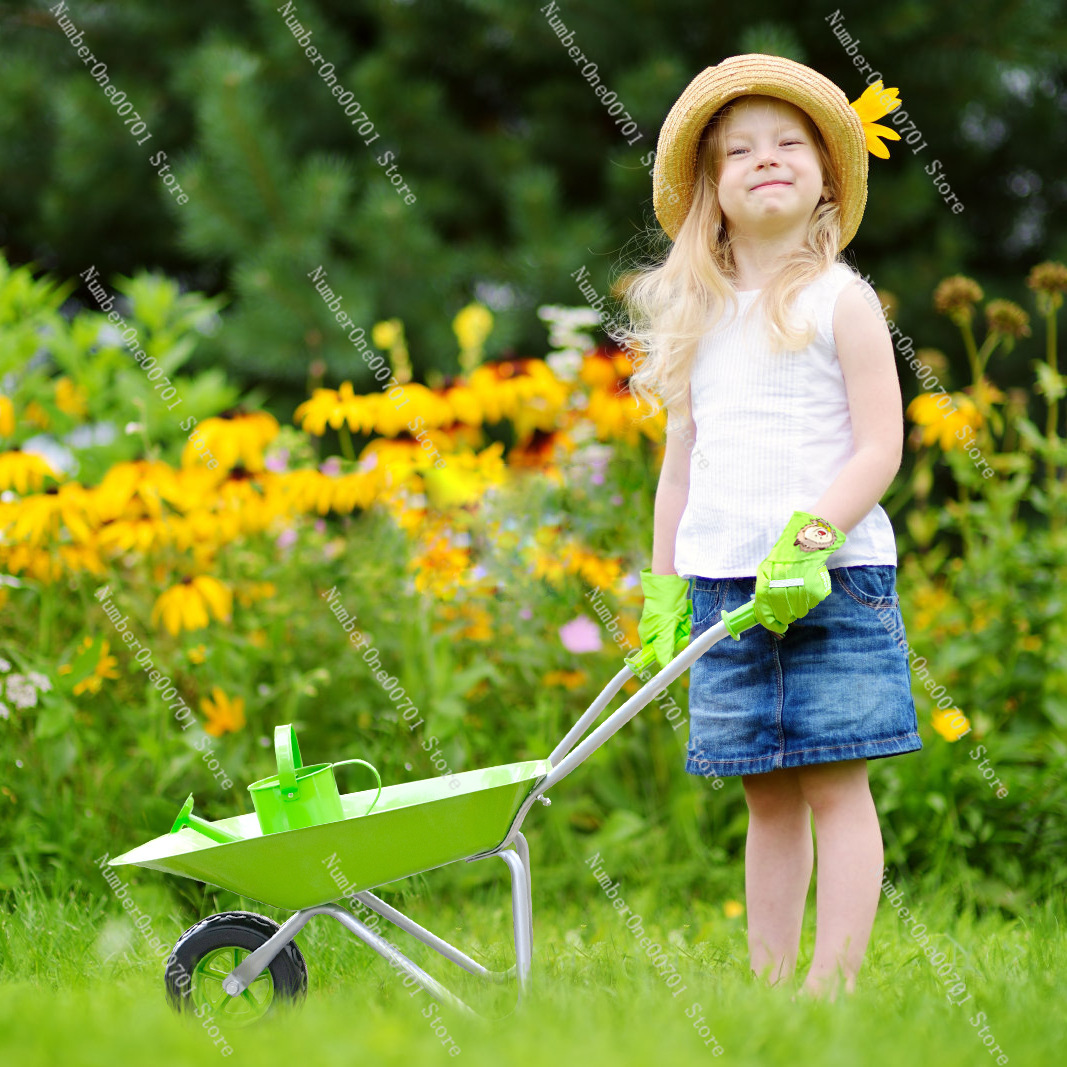 Kids Outdoor Wheelbarrow, Gree - đánh giá và giá Kids Outdoor Play